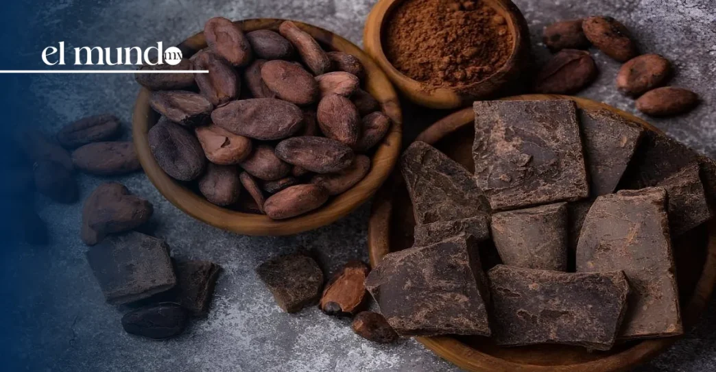 Festival Cacao para Todos 2025: todo sobre la XV edición en el Museo Anahuacalli