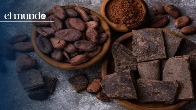 Festival Cacao para Todos 2025: todo sobre la XV edición en el Museo Anahuacalli