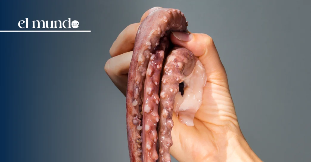 'Autobiografía de un pulpo': el SOS de la naturaleza contra el antropocentrismo