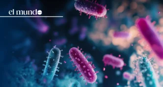 Over Six Tons of Chicken Pulled from U.S. Shelves Due to Listeria Contamination Risk