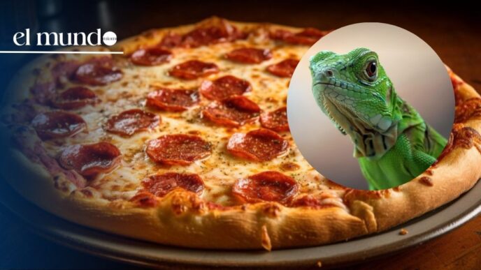Iguana pizza goes viral in Florida: restaurant considers adding it to the menu