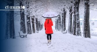 New cold front brings a wintry dawn to Miami and South Florida