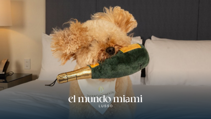 When and where will the Paws Patio Food Fest 2026 be held?